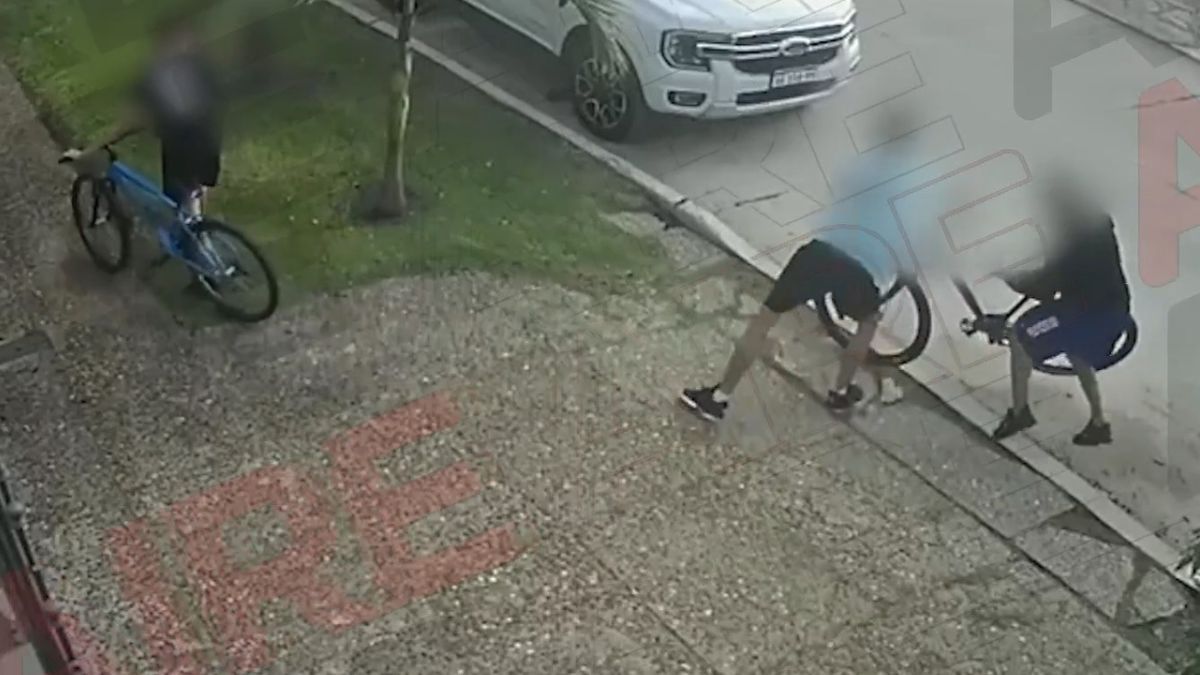 Violento robo en Guadalupe: un joven fue golpeado para robarle la bicicleta.