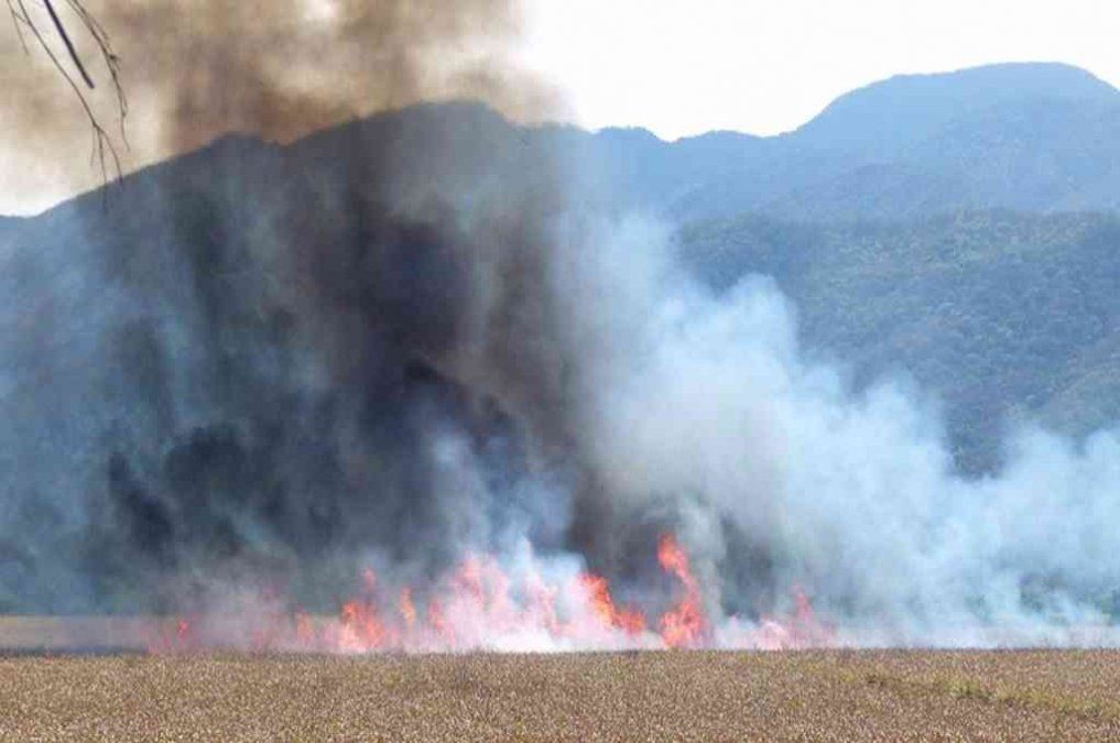 Jujuy: incendios en La Unión Seca, Parque Nacional Calilegua y La Lucrecia