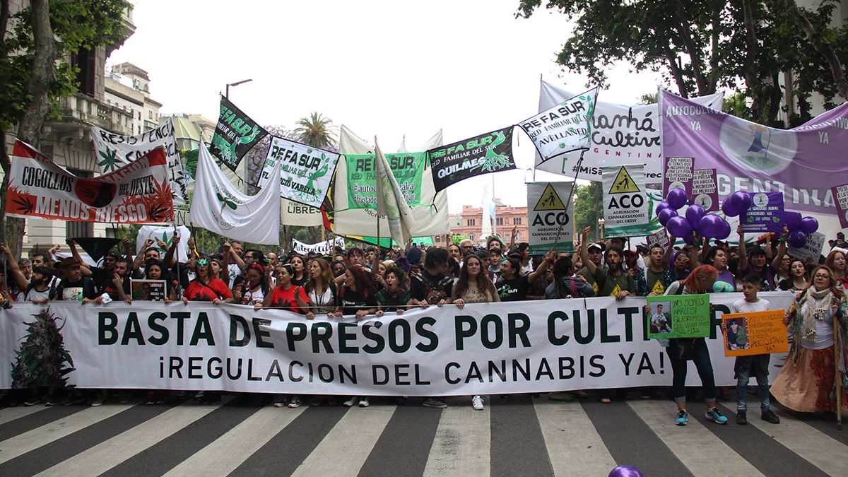 Las asociaciones civiles advirtieron que &ldquo;es necesario reafirmar que el horizonte de la lucha del movimiento cann&aacute;bico organizado contin&uacute;a siendo la regulaci&oacute;n de la planta para todos sus usos&rdquo;.