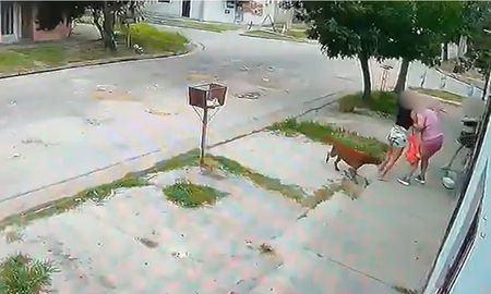 El momento en que la víctima se defendió de la agresora en la puerta de su casa. El momento en que la víctima se defendió de la agresora en la puerta de su casa.