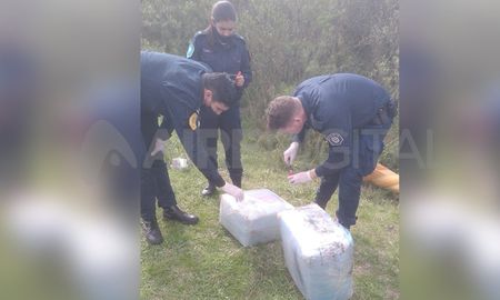 Un agricultor denunció haber visto marcas de aterrizaje en sus sembrados y otros movimientos extraños Un agricultor denunció haber visto marcas de aterrizaje en sus sembrados y otros movimientos extraños