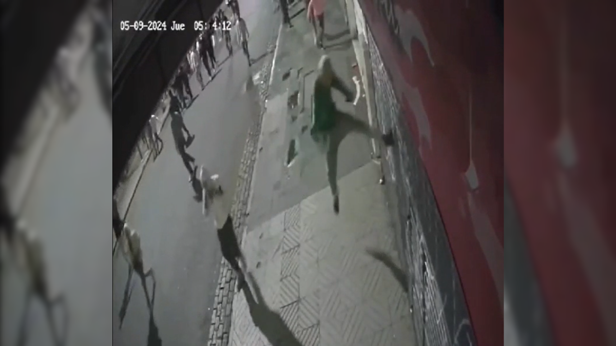 La Policía detuvo a 13 delincuentes