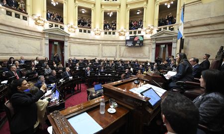 Avanza el paquete fiscal en el Senado e inició la votación en particular Avanza el paquete fiscal en el Senado e inició la votación en particular
