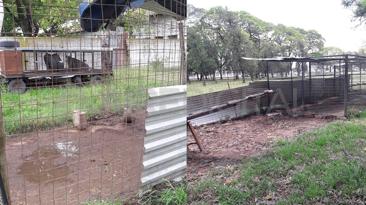 Imágenes de los caniles de la Sección Perros en el ISEP. Cuando las condiciones climáticas son adversas, los canes son alojados en habitaciones cerradas. 