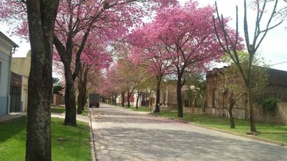 Escapada a una aldea escondida en Entre Ríos: descubrí su historia, religión y gastronomía local
