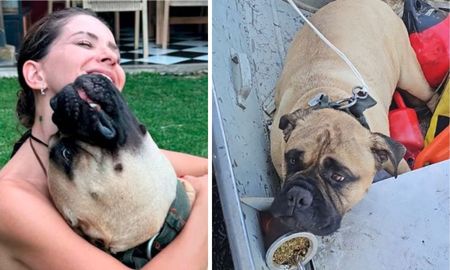 La mascota está sana y salva tras un gran susto. La mascota está sana y salva tras un gran susto.