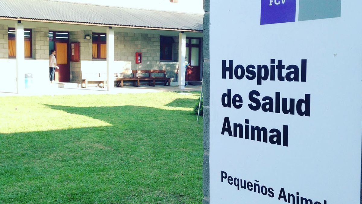 Según manifestaron los estudiantes, las prácticas académicas se encuentran suspendidas desde el inicio de la pandemia y sólo cursan de modo virtual. “La virtualidad por suerte nos permitió continuar con las clases teóricas pero las prácticas sigue faltando y son totalmente necesarias para continuar”, explicaron.