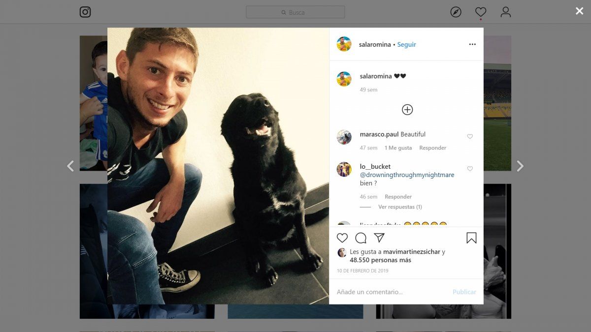 Nala, la perrita de Emiliano Sala a un año del fallecimiento de su dueño