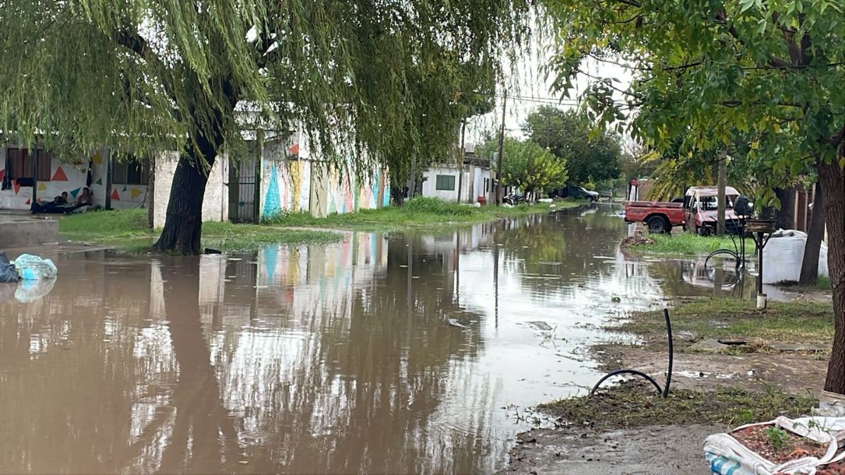 Así se encuentra calle Chubut al 6200. Así se encuentra calle Chubut al 6200.