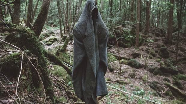 ¿Cómo es el “bosque de los suicidios” de Japón?
