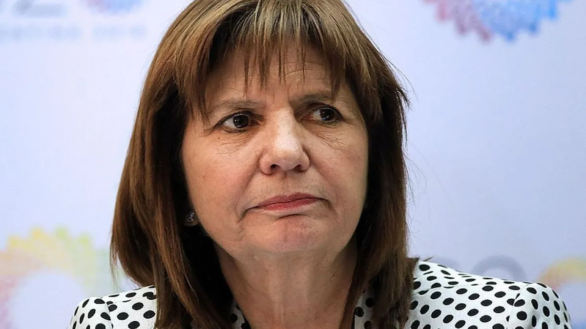 Patricia Bullrich entró tarde a ver El Acompañante