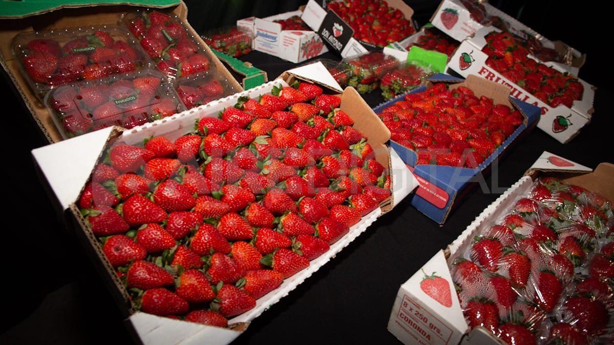 Este sábado fue la noche central de la 62° Fiesta Nacional de la Frutilla en Coronda.&nbsp;