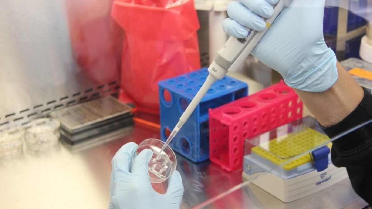 Científicos descubrieron en Brasil un virus misterioso sin genes reconocibles