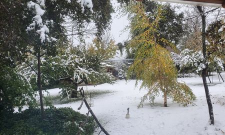 Bariloche: una intensa nevada causó serios inconvenientes al servicio eléctrico, tránsito y vuelos Bariloche: una intensa nevada causó serios inconvenientes al servicio eléctrico, tránsito y vuelos