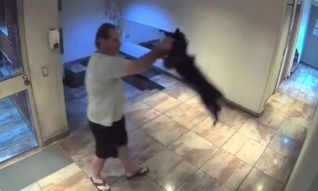 Lo filmaron golpeando brutalmente a su perro en un edificio y terminó detenido.