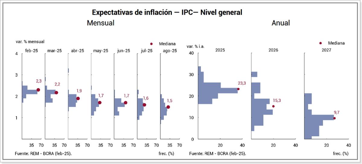 Fuente: REM - BCRA