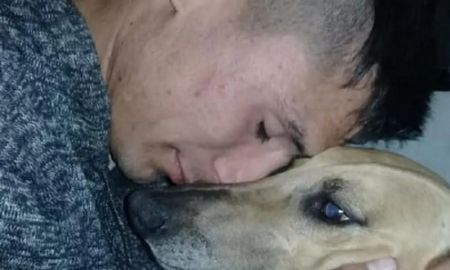 un hombre perdio a su perro y ofrece su auto de recompensa un hombre perdio a su perro y ofrece su auto de recompensa