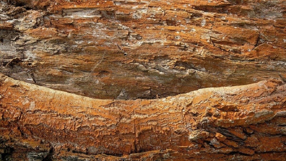 Una pareja compró una casa por medio millón de dólares y la destruyeron las termitas