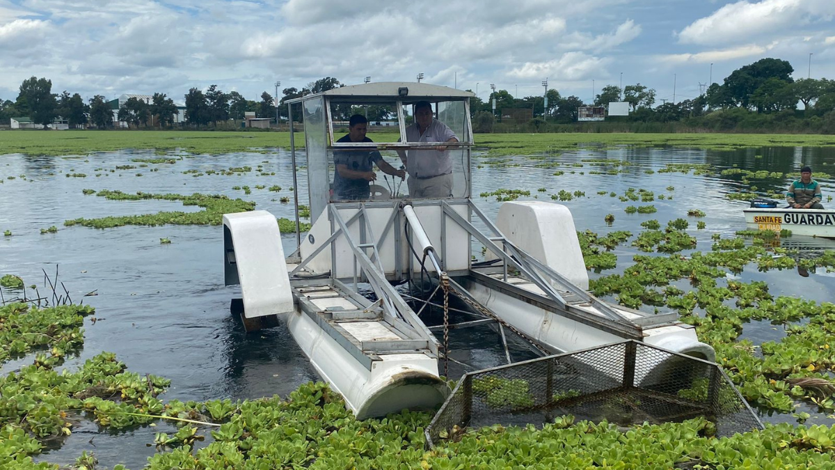 La Municipalidad limpia el lago del Parque del Sur con la cosechadora acuática que llegó de Córdoba.