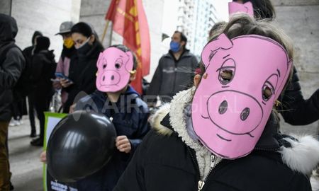 Aire de Santa Fe | manifestacion en rosario cerdos 2.jpg