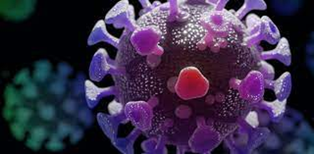 Mary Ramsay, jefa de inmunización de Ukhsa, aseguró que continúan viendo un aumento en los casos de coronavirus en el informe de esta semana. Mary Ramsay, jefa de inmunización de Ukhsa, aseguró que continúan viendo un aumento en los casos de coronavirus en el informe de esta semana.