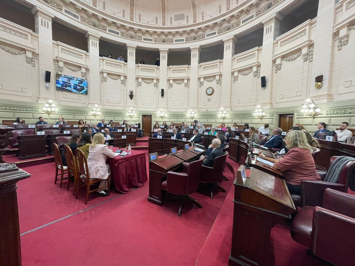 Rectores de las universidades públicas y directivos del Conicet expusieron un crudo relato de su situación en la Legislatura. Rectores de las universidades públicas y directivos del Conicet expusieron un crudo relato de su situación en la Legislatura.