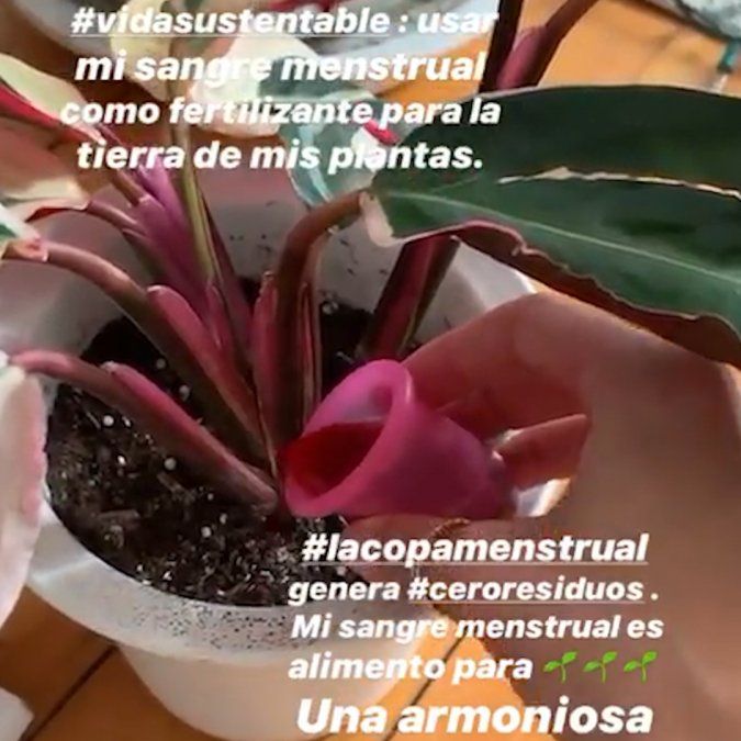 Calu Rivero riega las plantas con su periodo.