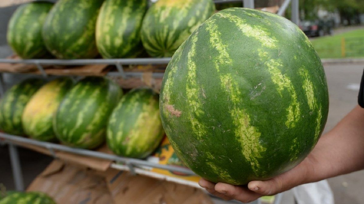 Imagen ilustrativa&nbsp;