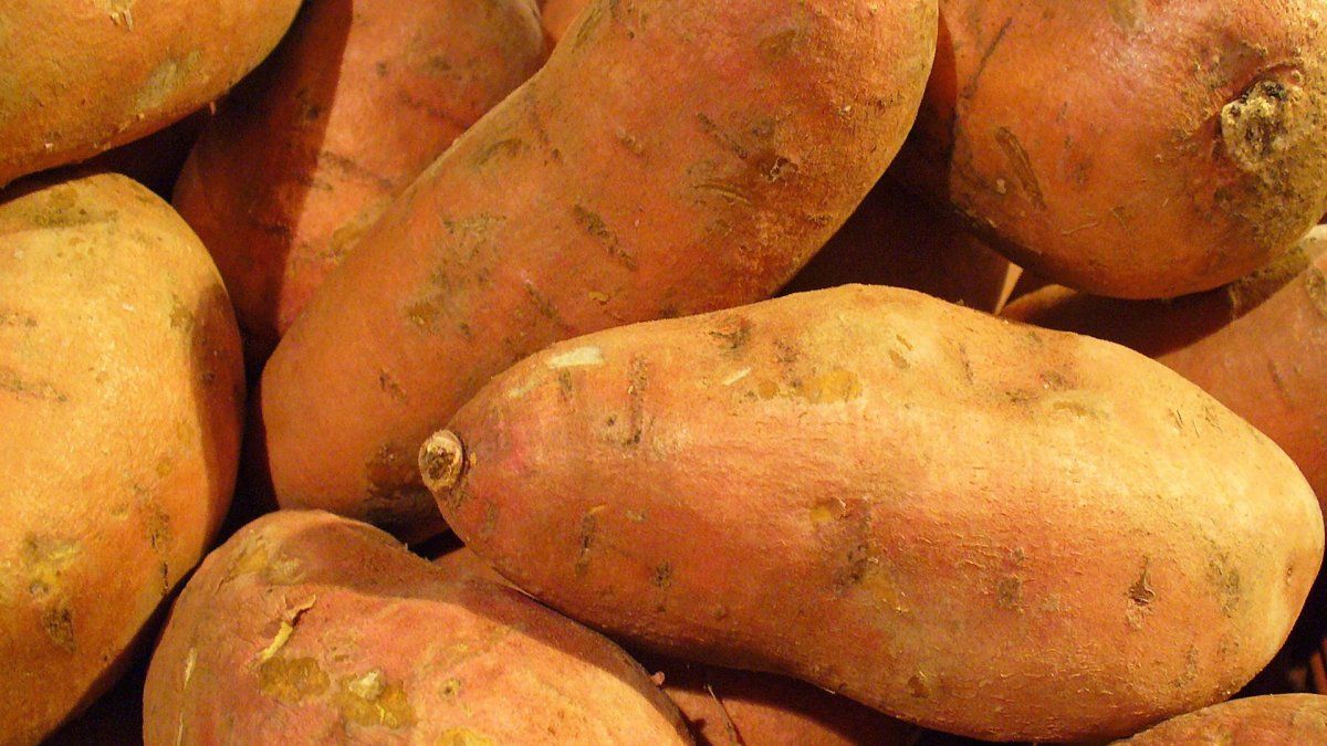 La&nbsp;batata es tan saludable como vers&aacute;til.