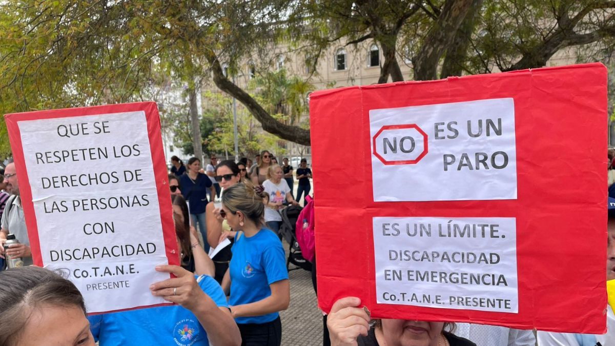 Los profesionales también se ven gravemente afectados por los bajos aranceles que se les pagan por sus servicios. Los profesionales también se ven gravemente afectados por los bajos aranceles que se les pagan por sus servicios.