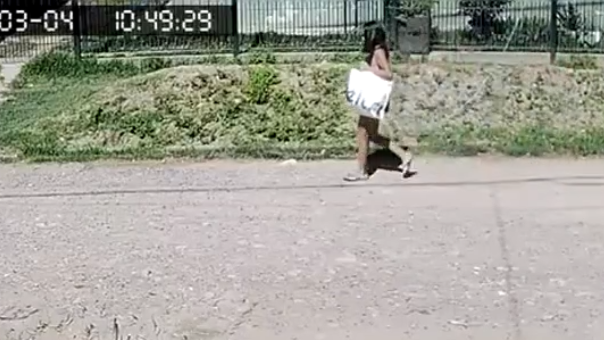 Lo encontró una chica que iba a tomar el colectivo. Aún tenía el cordón umbilical.
