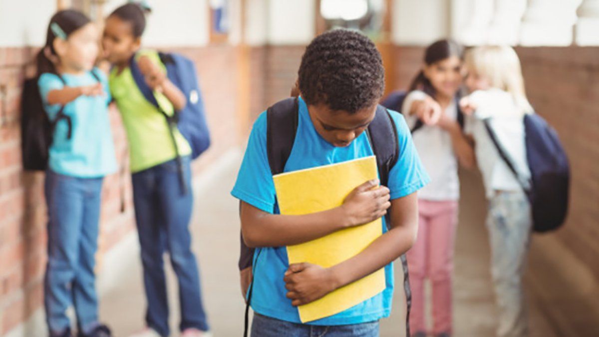 Impulsan un proyecto para crear un Programa Nacional de Prevención del Bullying Escolar.
