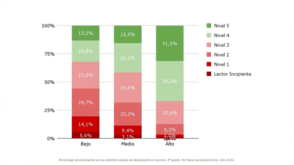 Porcentaje de estudiantes en los distintos niveles de desempeño en lectura en 3° grado. Por nivel socioeconómico.