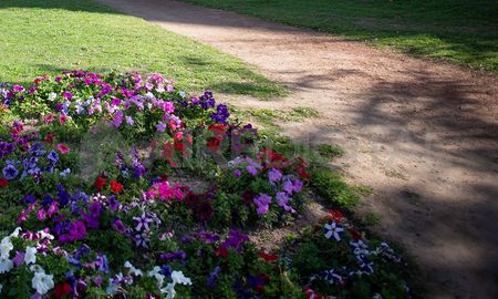 Este miércoles comienza oficialmente la primavera en Argentina. Este miércoles comienza oficialmente la primavera en Argentina.