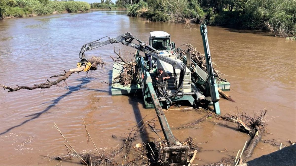 Los trabajos se concentran en el retiro de ramas, &aacute;rboles y distintos residuos acumulados en las pilas del puente y sus estribos.