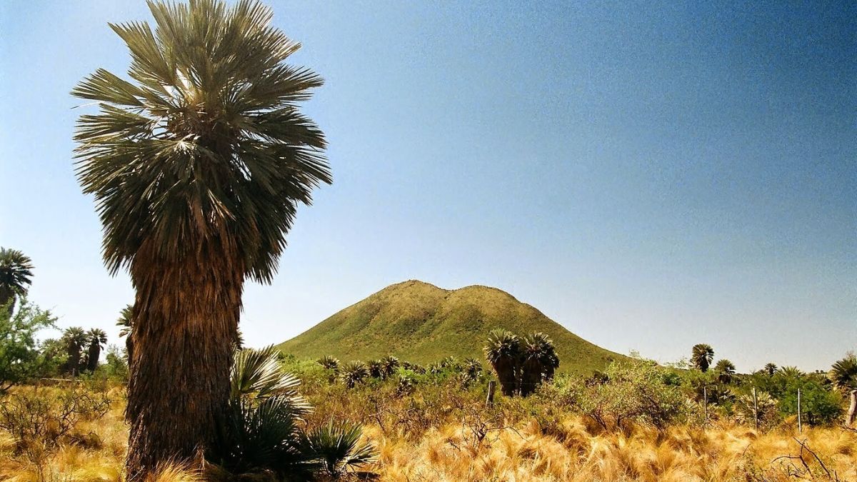Escapada a Las Palmas