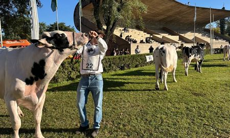 todolactea mostro una lecheria que busca crecer pese a los numeros ajustados todolactea mostro una lecheria que busca crecer pese a los numeros ajustados