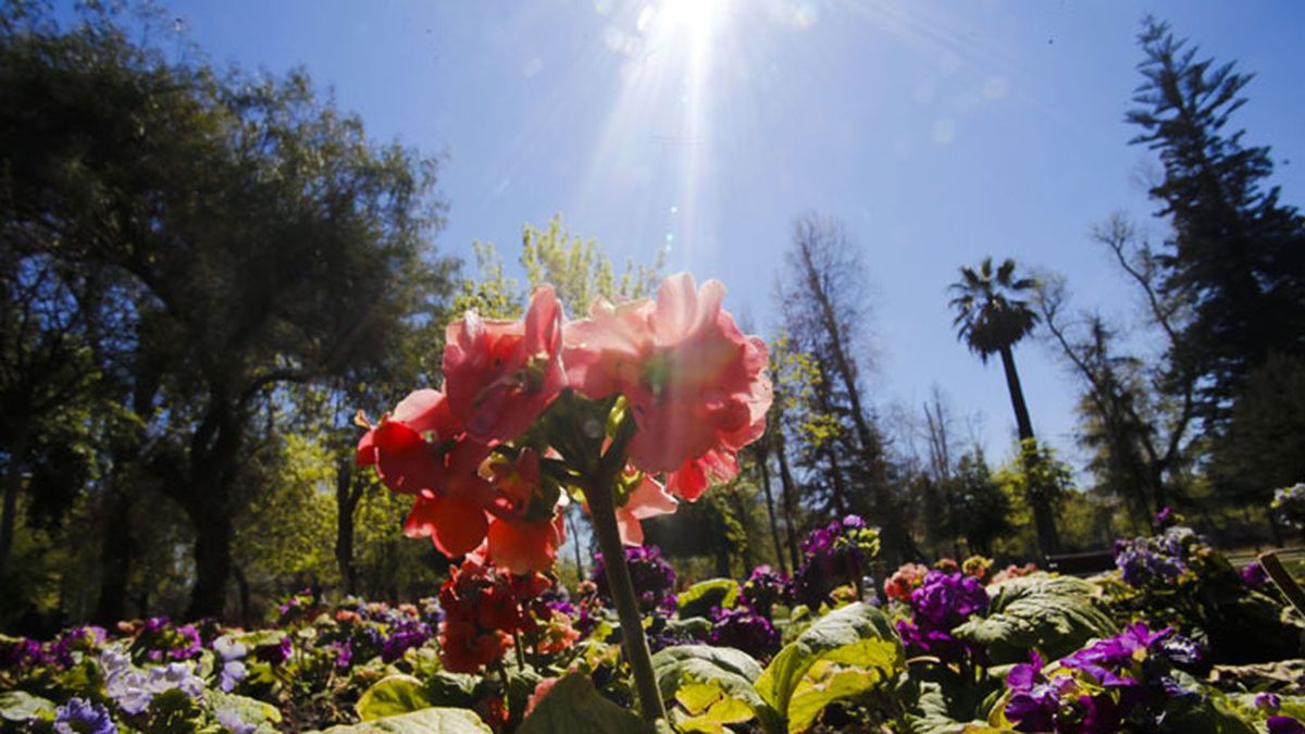 Cuándo empieza la primavera y a qué hora