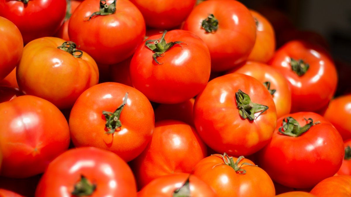 Precios: el tomate fue la fruta que más aumentó en febrero, subiendo un 74,6%.