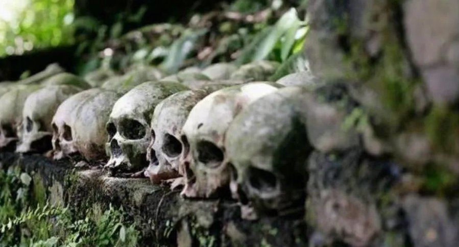 Macabra visita guiada: por el cementerio y tocando cadáveres