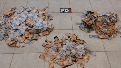 Narcos con mala suerte: traficaban cocaína, se les prendió fuego la camioneta y perdieron 12 millones de pesos