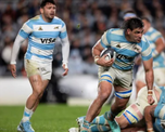 los pumas juegan contra los springboks: el encuentro conmemora los 40 anos del primer partido historico del seleccionado en velez los pumas juegan contra los springboks: el encuentro conmemora los 40 anos del primer partido historico del seleccionado en velez