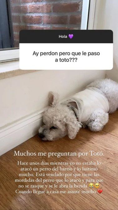 Captura de pantalla de las historias de Lola Latorre