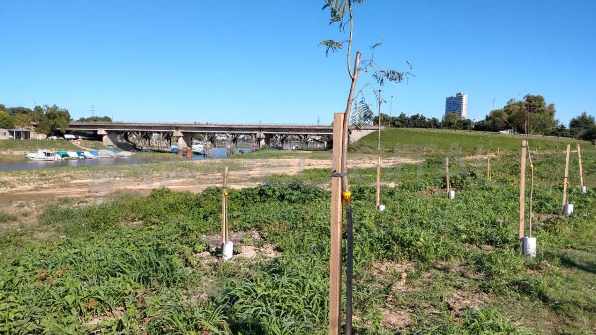 Así se encuentra en la actualidad el terreno tras un relevamiento de Aire de Santa Fe.