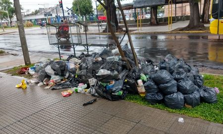 un basural a metros de bulevar: hace mas de una semana que no recolectan residuos de un edificio un basural a metros de bulevar: hace mas de una semana que no recolectan residuos de un edificio