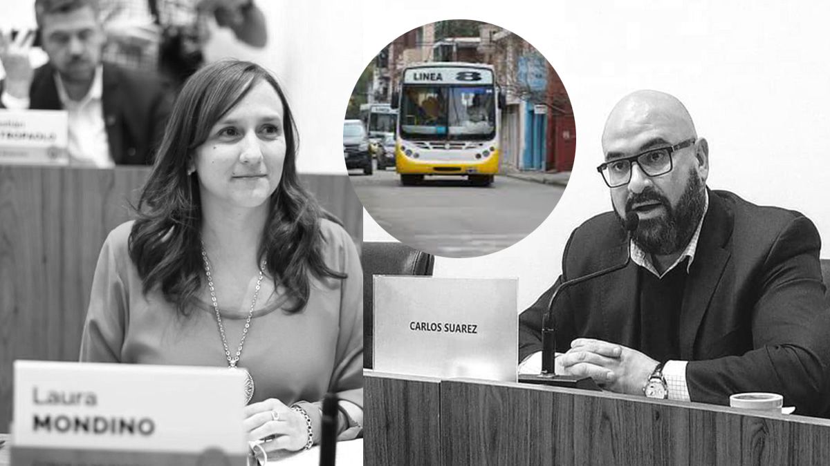 Los concejales Laura Mondino (FPCyS) y Carlos Su&aacute;rez (UCR-Cambiemos) hablaron sobre la situaci&oacute;n del transporte p&uacute;blico.&nbsp;