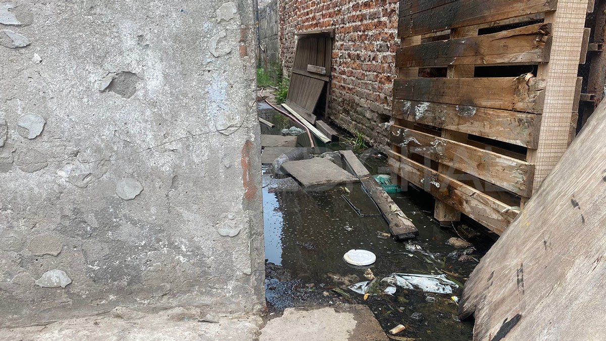 En barrio Centenario