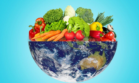 Dieta de salud planetaria: comer bien para proteger el planeta y la equidad social Dieta de salud planetaria: comer bien para proteger el planeta y la equidad social