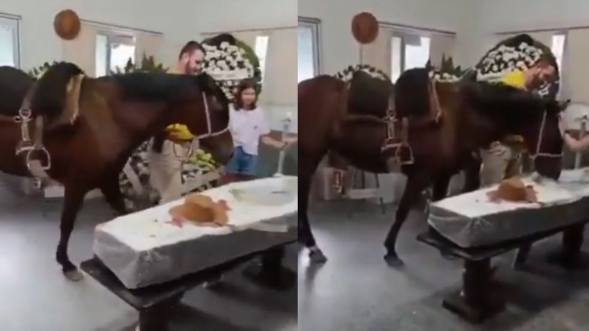 La reacción de Nina ante el ataúd de Pedro Krug conmovió a todos en Brasil.&nbsp;