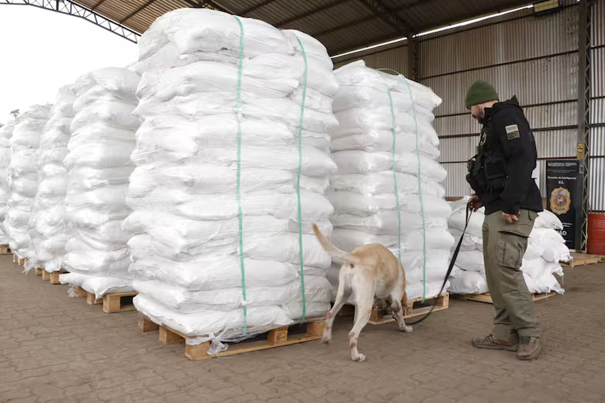 El cargamento de 4013 kilos de cocaína tenía previsto navegar por la hidrovía y llegar al puerto de Amberes, en Bélgica. El cargamento de 4013 kilos de cocaína tenía previsto navegar por la hidrovía y llegar al puerto de Amberes, en Bélgica.
